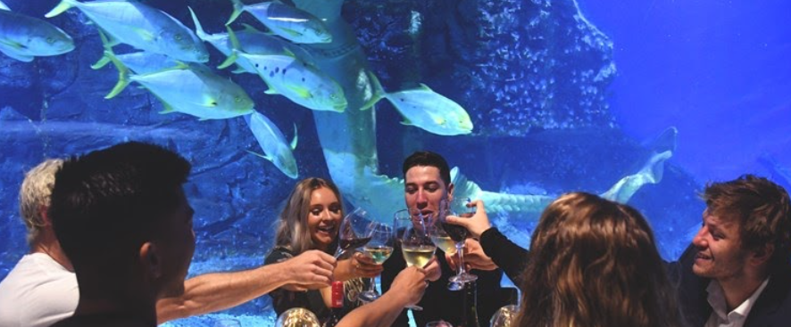 Sea Life Melbourne Aquarium Wedding Ceremony & Reception